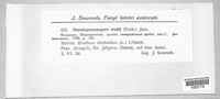 Image Associated With the Occurence